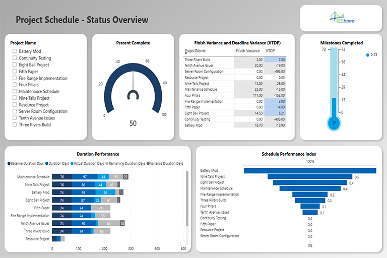 Executive Overview Project Dashboard
