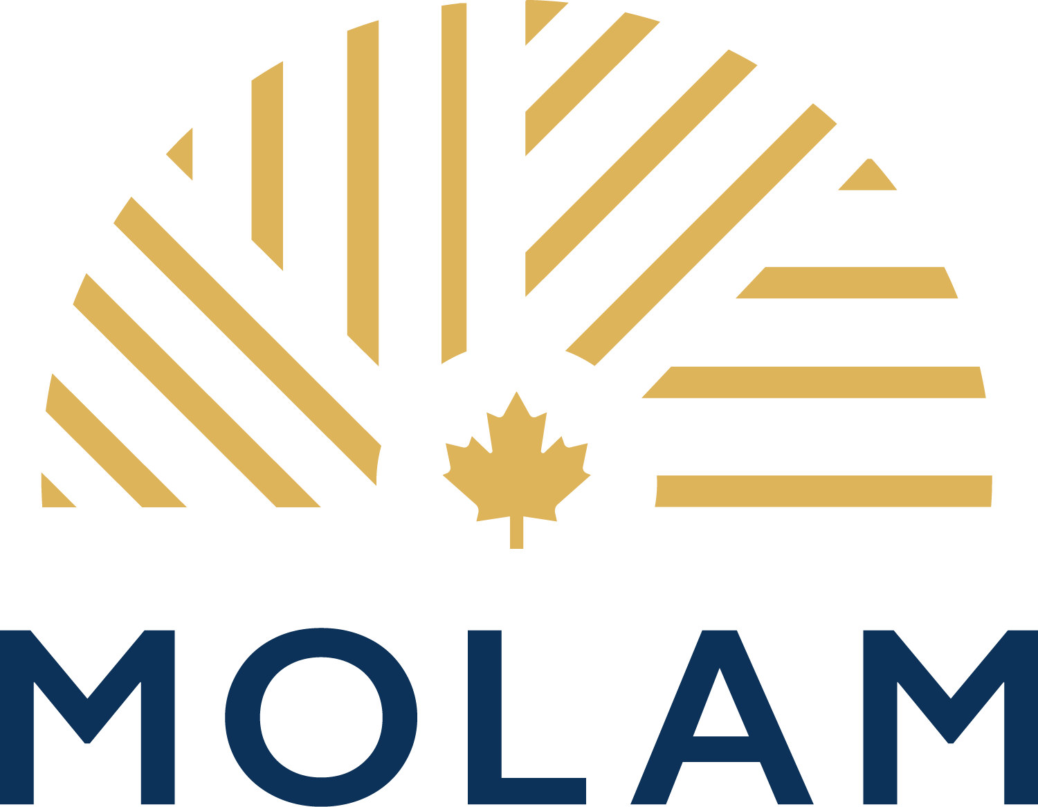 MOLAM Health logo